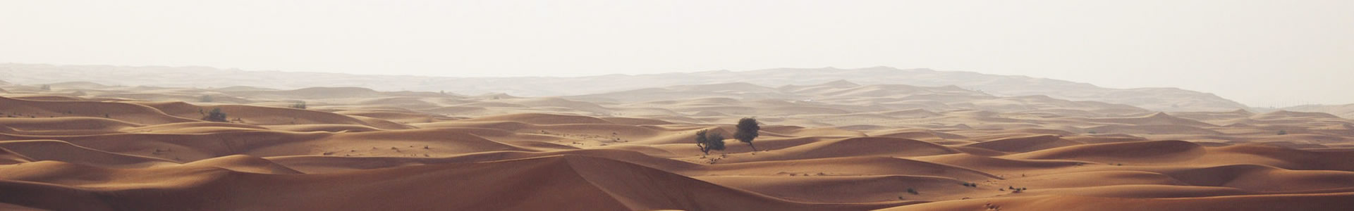 ϴï޹˾